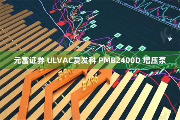 元富证券 ULVAC爱发科 PMB2400D 增压泵