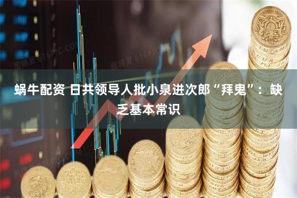 蜗牛配资 日共领导人批小泉进次郎“拜鬼”：缺乏基本常识